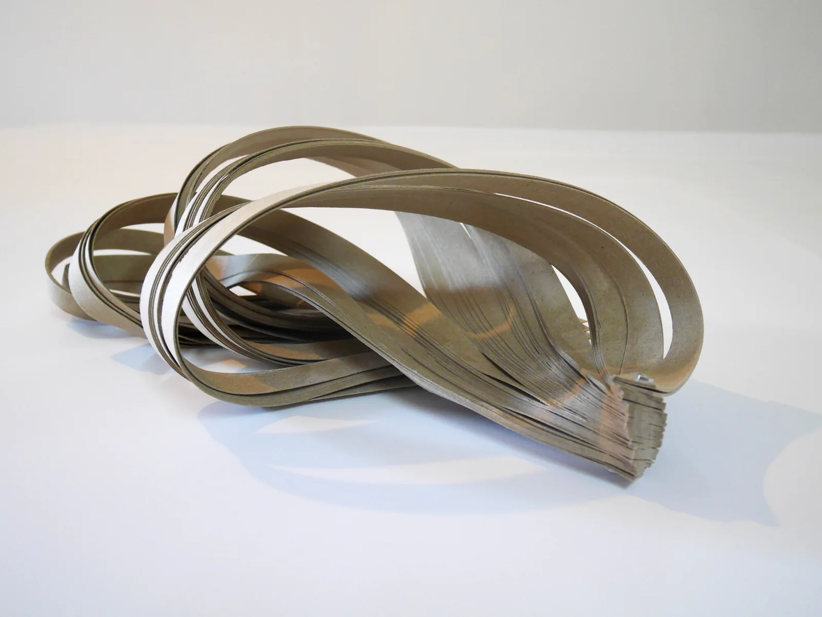 LOOPS — liegende Form aus ineinander geschwungenen Pappstreifen