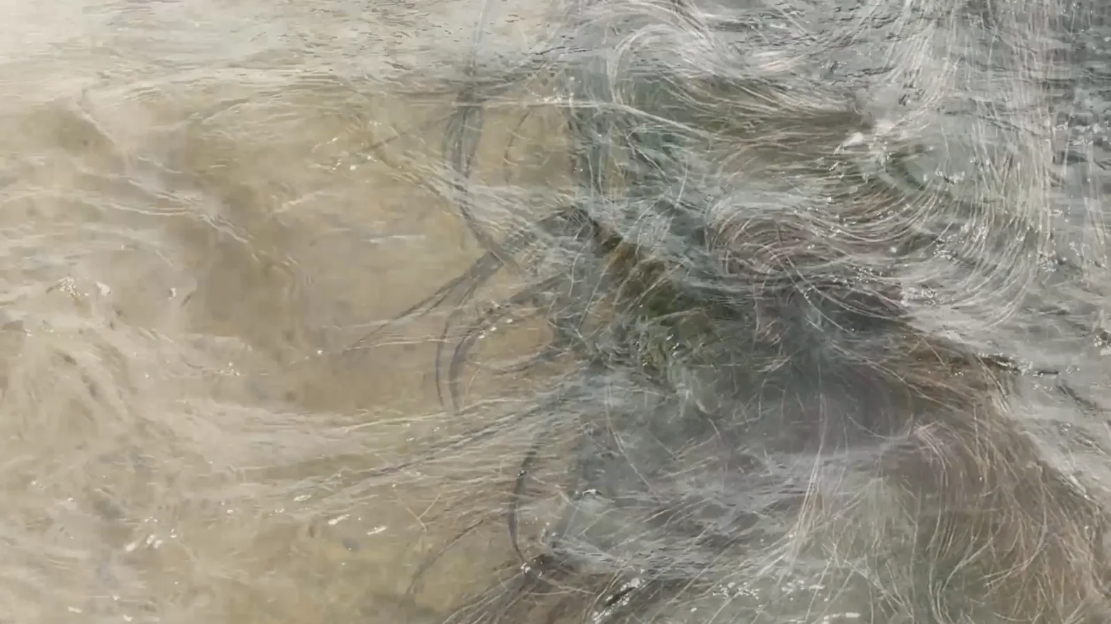 Mami Wata — Überlagerung: die treibenden Haarsträhnen legen sich als zweite Schicht über das strömende Wasser, Standbild aus dem Video