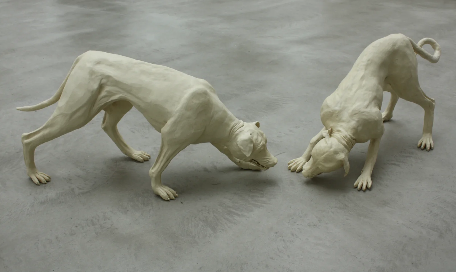 OSCURO — die beiden Hunde aus Polyurethan auf dem Betonboden, einander zugewandt