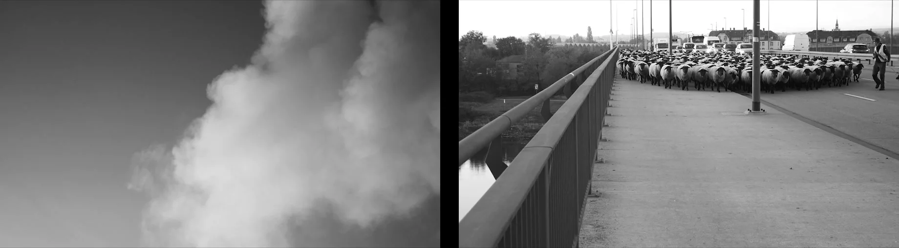 Schafe und Rauch — Rauchwolke neben der Schafherde, die mit dem Schäfer über eine Brücke zieht, Standbild aus dem Video