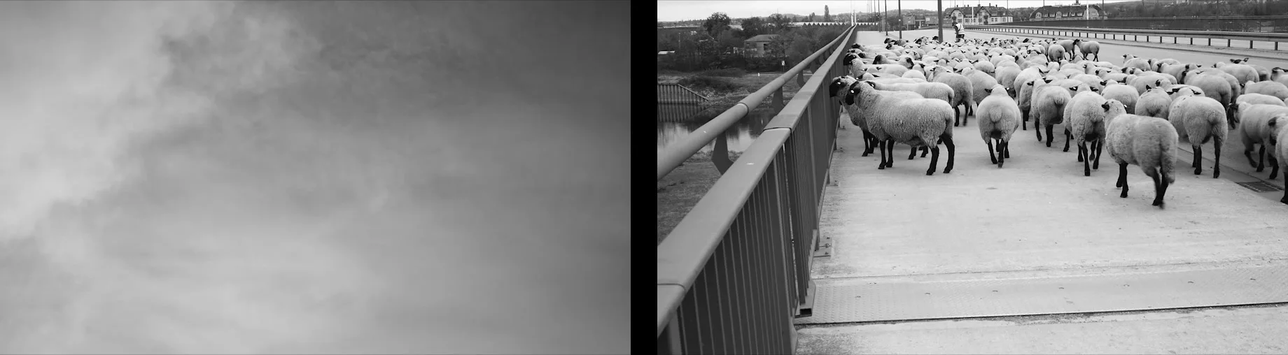 Schafe und Rauch — Nebel neben den Schafen, die auf der Brücke frontal auf die Kamera zulaufen, Standbild aus dem Video