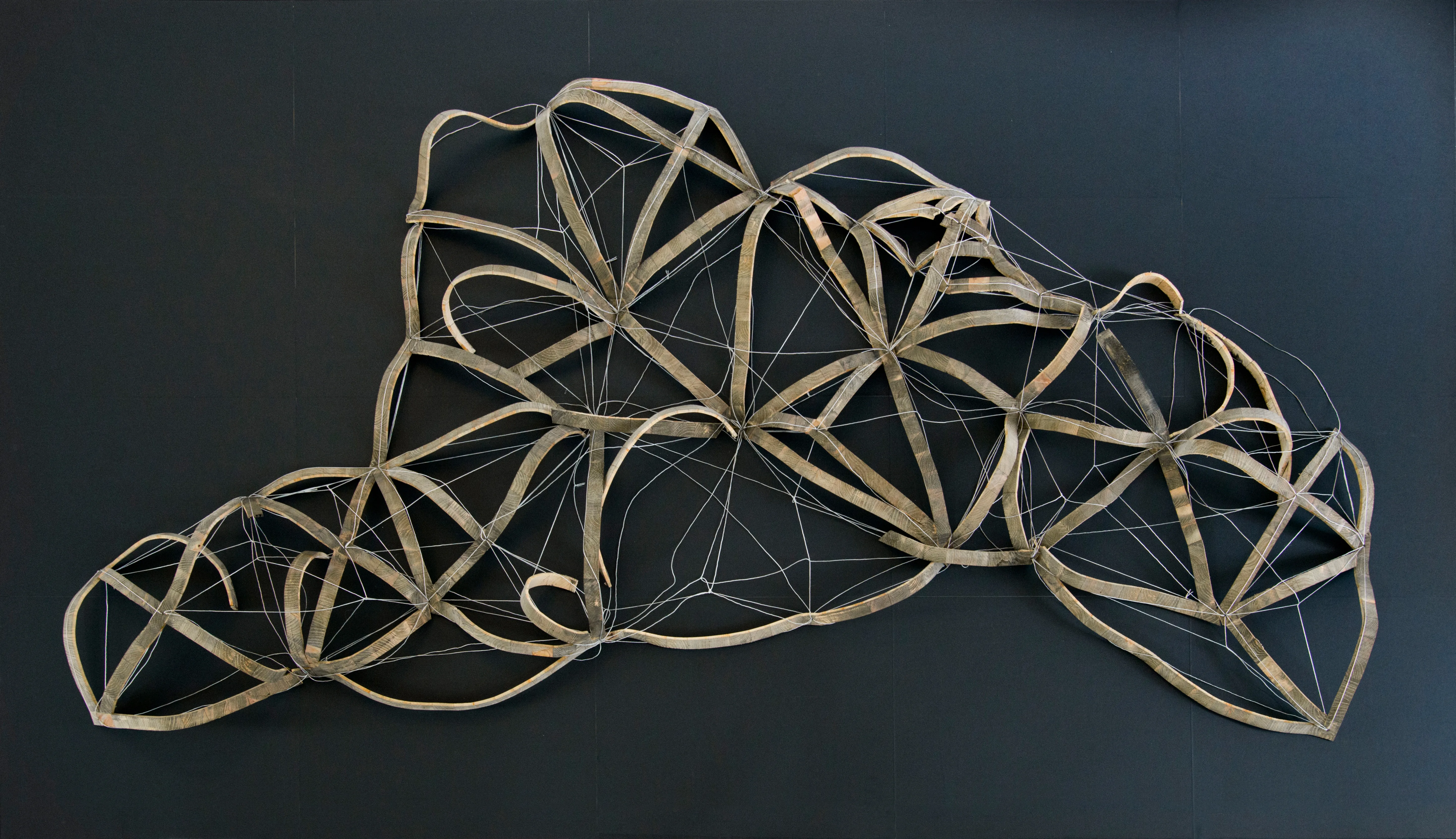 Topografieskelett Triangulirung — raumgreifendes Wandrelief aus gebogenen Formholzleisten und gespannten Schnüren nach dem trigonometrischen Netz Sachsens, 2014