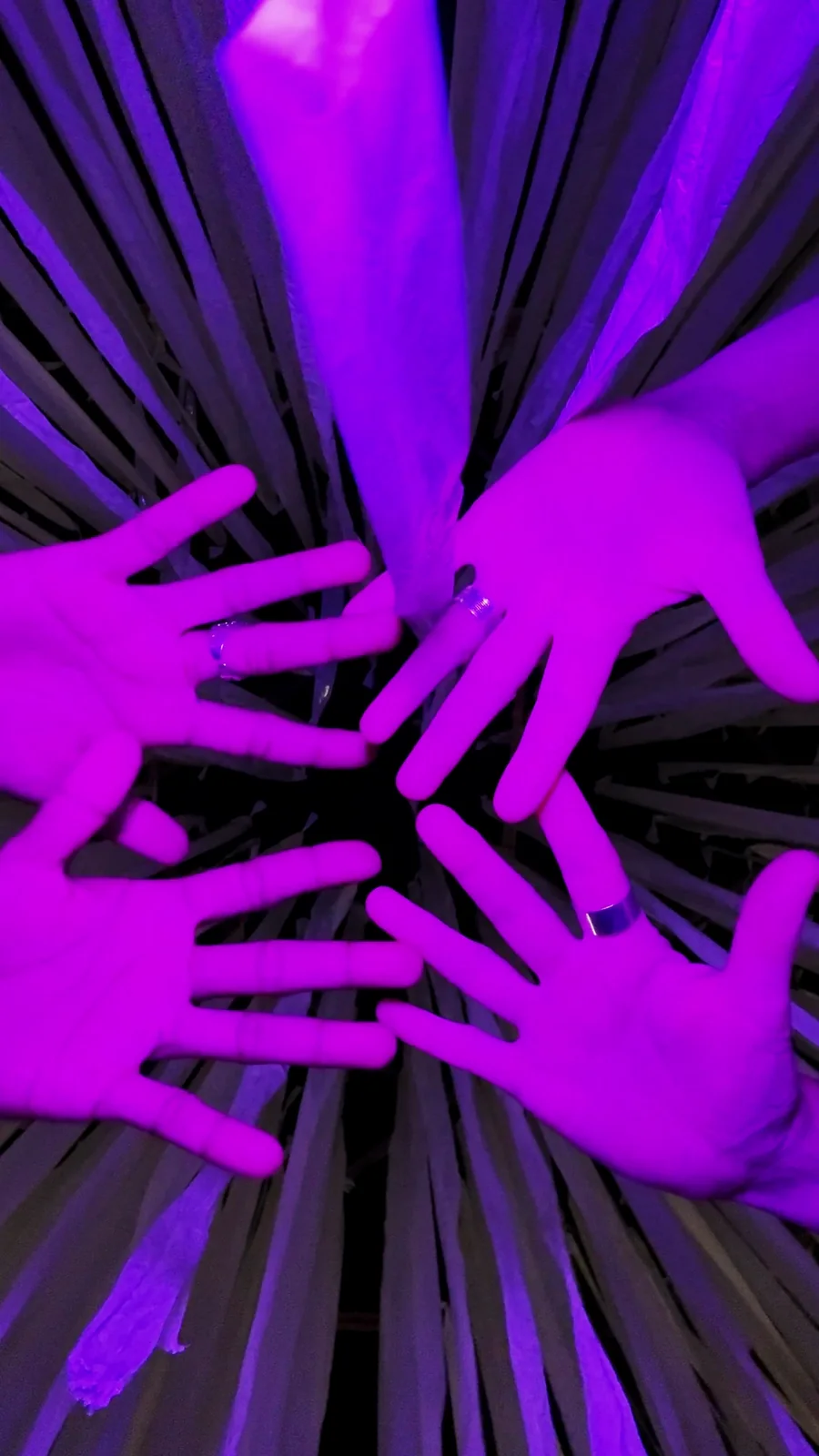 ZITTERAAL · ANGUILLE ÉLECTRIQUE — vier Hände treffen sich, von unten gesehen, zwischen violett leuchtenden Bändern; startet das Video